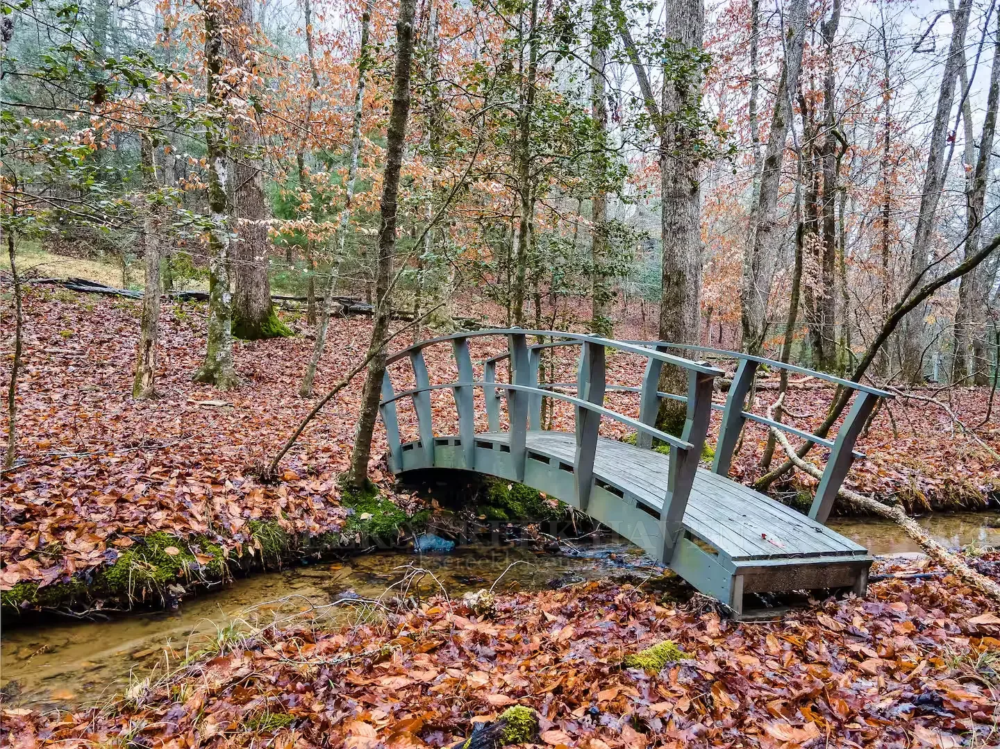Private creek and footbridge beside the cabin